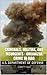 Criminals, Militias, and Insurgents : Organized Crime In Iraq: 2009