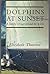 Dolphins at Sunset: A family voyage around the world.