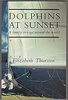 Dolphins at Sunse...