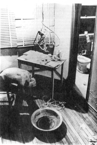 The New World Order (ebook)