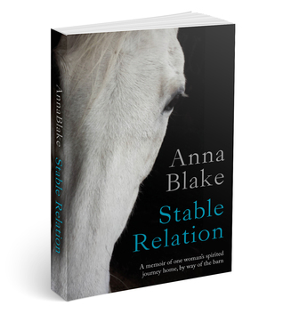 Stable Relation (Paperback)