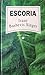 Escoria
