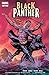 Black Panther (2005-2008) #21
