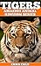 TIGERS: Fun Facts and Amazi...