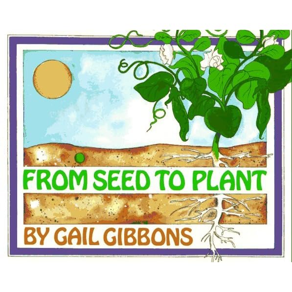 From Seed To Plant By Gail Gibbons