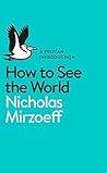 How to See the World by Nicholas Mirzoeff