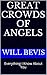 Great Crowds of Angels: Everything I Know About You