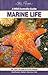 Marine Life (A Wild Australia Guide)