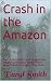 Crash in the Amazon by Daryl Smith