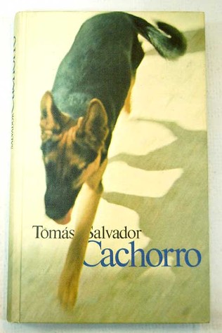 Cachorro