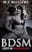 BDSM: Lost In Submission
