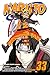 Naruto, Vol. 33: The Secret...