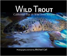 Wild Trout