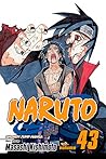 Naruto, Vol. 43 by Masashi Kishimoto