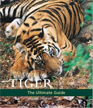 Tiger (Hardcover)