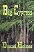 Big Cypress