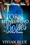 Torn Between Two ...