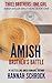 The Amish Brother's Battle (Amish Byler Brothers #1 )