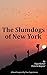 Namaste New York: A Novel