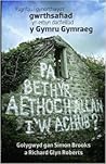 Pa Beth yr Aethoch Allan i'w Achub? Ysgrifau i gynorthwyo'r gwrthsafiad yn erbyn dadfeiliad y Gymru Gymraeg