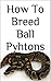 HOW TO BREED BALL PYTHONS | BALL PYTHON BREEDING 101: HOW TO SUCCESSFULLY BREED BALL PYTHONS