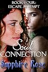 Escape Attempt (Soul Connection Book 4)