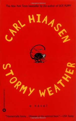 Stormy Weather (Skink #3)