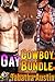 Gay Cowboy Bundle
