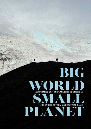 Big World, Small Planet: Abundance within Planetary Boundaries (Hardcover)