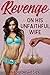 Revenge On His Unfaithful Wife (Revenge By Trance, #3)