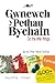 Gwnewch y Pethau Bychain: Do the Little Things (Bilingual): 400 o syniadau i Gefnogi Cymru a'r Gymraeg/400 great ideas to support Wales and the Welsh language (Welsh Edition)