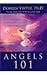 Angels 101: An Introduction To Connecting, Working And Healing With The Angels