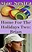 Home For The Holidays 2: Brian