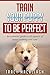 Train Your Puppy To Be Perfect: An essential guide to all aspects of puppy training and care.
