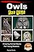 Owls For Kids - Amazing Ani...