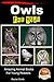 Owls For Kids - Amazing Animal Books For Young Readers