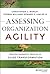Assessing Organization Agil...