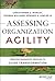 Assessing Organization Agility: Creating Diagnostic Profiles to Guide Transformation (J-B Short Format Series)