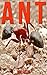 Ant: Children Book of Fun Facts & Amazing Photos on Animals in Nature - A Wonderful Ant Book for Kids aged 3-7