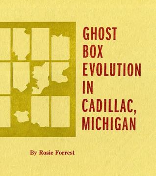 Ghost Box Evolution in Cadillac, Michigan (Paperback)