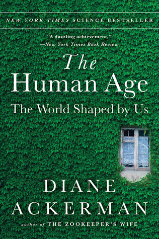 The Human Age: The World Shaped By Us (Paperback)