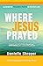 Where Jesus Prayed: Illumin...