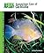 Aquarium Care of Cichlids (Animal Planet Pet Care Library)