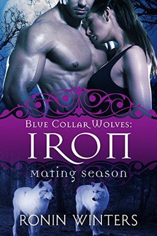 Iron (Blue Collar Wolves, #1)