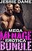 Mega Ménage Erotica Bundle: 14 Women, 14 Stories, 44 Men (Pumped Full Book 1)