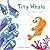 Tiny Whale by Joshua George Tiny Whale by Joshua George