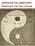 Experiential Anatomy Through Tai Chi Chuan: The Art of Conscious Movement for Health and Self-Defense