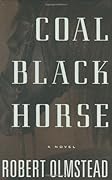 Coal Black Horse