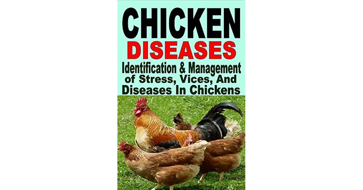 Chicken Diseases Identification And Management Of Stress Vices And Diseases In Chickens By Francis Okumu