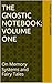 The Gnostic Notebook: Volume One: On Memory Systems and Fairy Tales